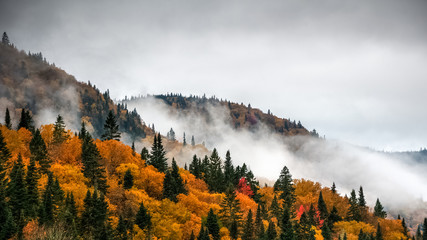 Fototapeta premium Wspaniały kolorowy jesienny dzień w parku rzecznym Jacquesa Cartiera, Quebec, Kanada