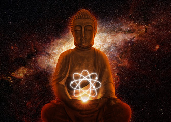Buddha in the Universe