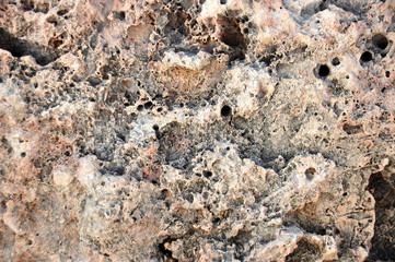Laterite stone surface. Cool texture
