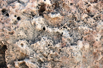 The texture of the hollow stone speck