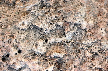 The unique texture of the old sea stone in the holes
