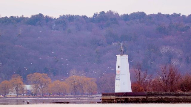 A Few Birds Fly Past Lighthouse in Ithaca New York