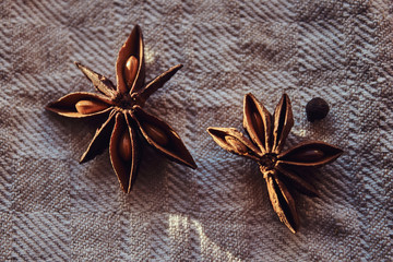 Photo of the fruits of cinnamon lying on a fabric canvas