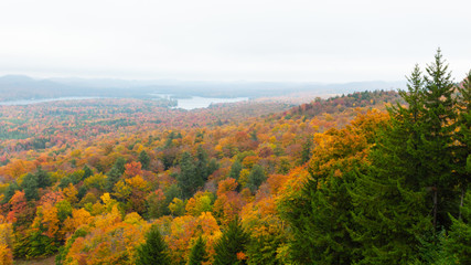 Fototapeta premium Fall on Bald Mountain in the Adirondacks