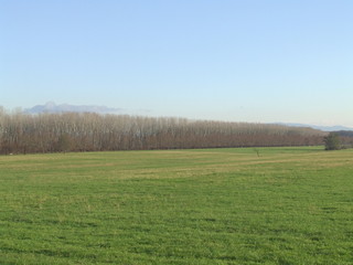 Fototapeta premium paesaggi autunnali 