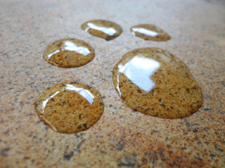 Paw claw animal foot mark good use for pet shop symbol, or any design you want.