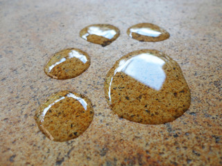 Paw claw animal foot mark good use for pet shop symbol, or any design you want.