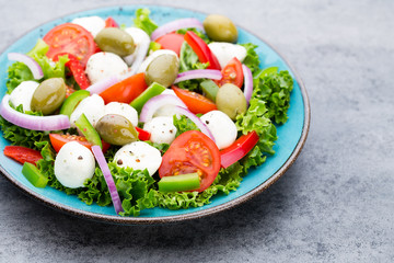 Vegetable salad with cheese mozzarella, tomatoes, basilikum and spice.