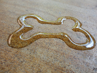 Bone pet shop symbol spontaneous water handwriting calligraphy good use for any design you want.