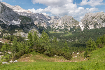 Fototapeta na wymiar high altitude alpine meadow in Julian Alps, Triglav National Park, Slovenia