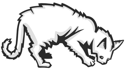 vector illustration of scruffy cat