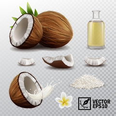 3d realistic vector set of elements (whole coconut, half coconut, coconut chips, splash coconut milk or oil, coconut chips, coconut flower, oil bottle) - obrazy, fototapety, plakaty
