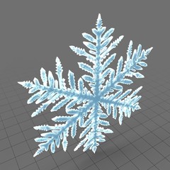 Snowflake