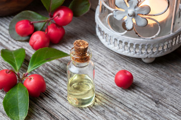 A bottle of wintergreen essential oil with wintergreen twigs
