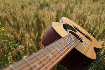 Close up of an acoustic guitar in a wheat field