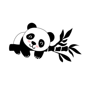 Vector flat illustration with panda