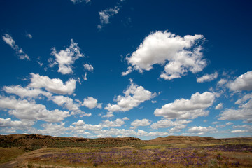 clouds over field