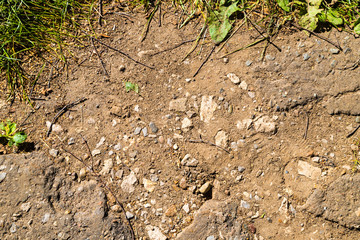 Small stones and ground texture with grass background and sun