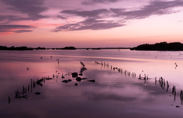 Naklejka premium Puesta de sol en el manglar de Xcambó, en Yucatán, México.