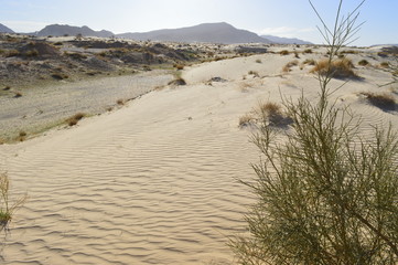 The sand in the desert