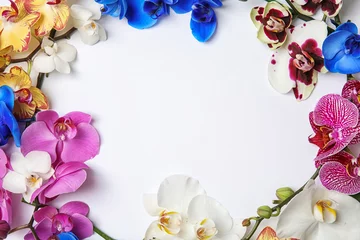 Glasschilderij Orchidee Mooie tropische orchideebloemen op witte achtergrond, bovenaanzicht. Ruimte voor tekst