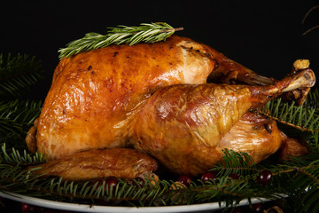 Roasted holiday turkey garnished with fresh herbs