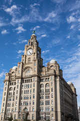 Fototapeta na wymiar Royal Liver Building in Liverpool