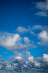 Half Moon in the Daytime Sky