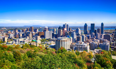 Montreal cityscape from Mount Royal