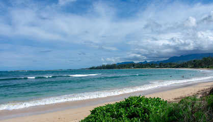 Gorgeous Tropical Island Beach in Hawaii
