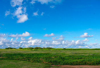 Fototapeta premium Wide Open Field Under the Blue Sky