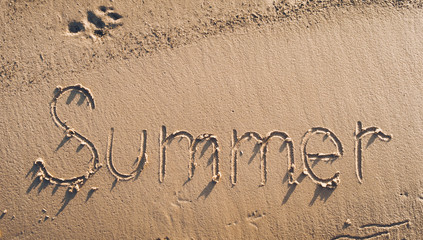 The word summer is written in the sand.Trail of dog. Summer beach concept.