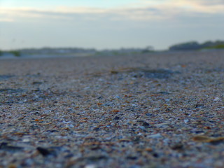 Ocean Landscape