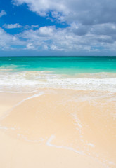 Fototapeta na wymiar Gorgeous Tropical Island Beach in Hawaii