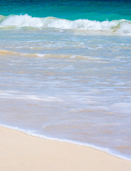 Gorgeous Tropical Island Beach in Hawaii