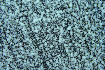 Hoarfrost on the tree surface.