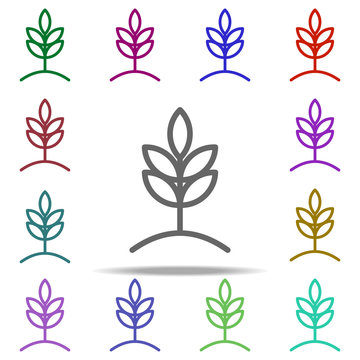 wheat icon. Elements of autumn in multi color style icons. Simple icon for websites, web design, mobile app, info graphics