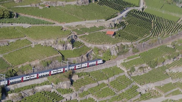 Aerial shot following Swiss train through Lavaux vineyard descending towards Vevey city, Switzerland