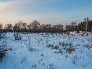 winter field bordered by forest, Novosibirsk, Russia