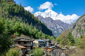 Fototapeta na wymiar annapurna circuit trek in himalaya trail nepal