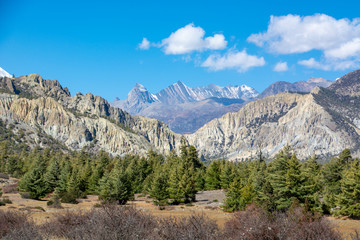 annapurna circuit trek in himalaya trail nepal
