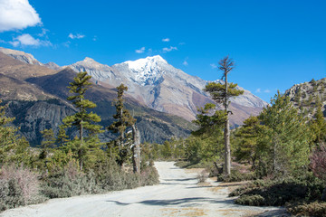 annapurna circuit trek in himalaya trail nepal