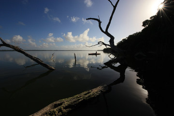Naklejka premium Kayaker on a very still West Lake in Everglades National Park, Florida amidst reflected clouds and mangrove snags in early morning light.