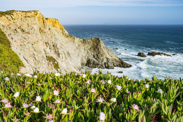 Point Reyes National Seahore