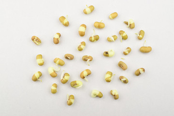 macro image of Mungbean Sprouts isolated on white background