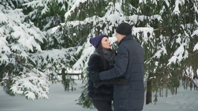 Couple Talking in Snowy Day