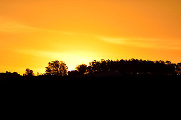 Fototapeta premium Sunset over the silhouette of trees