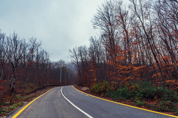 Fototapeta premium Autostrada w jesiennym lesie górskim