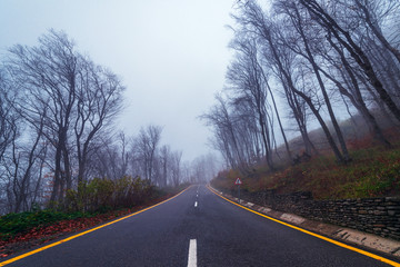 Highway in the autumn mountain forest