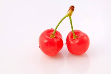Mature large American cherry on a white background